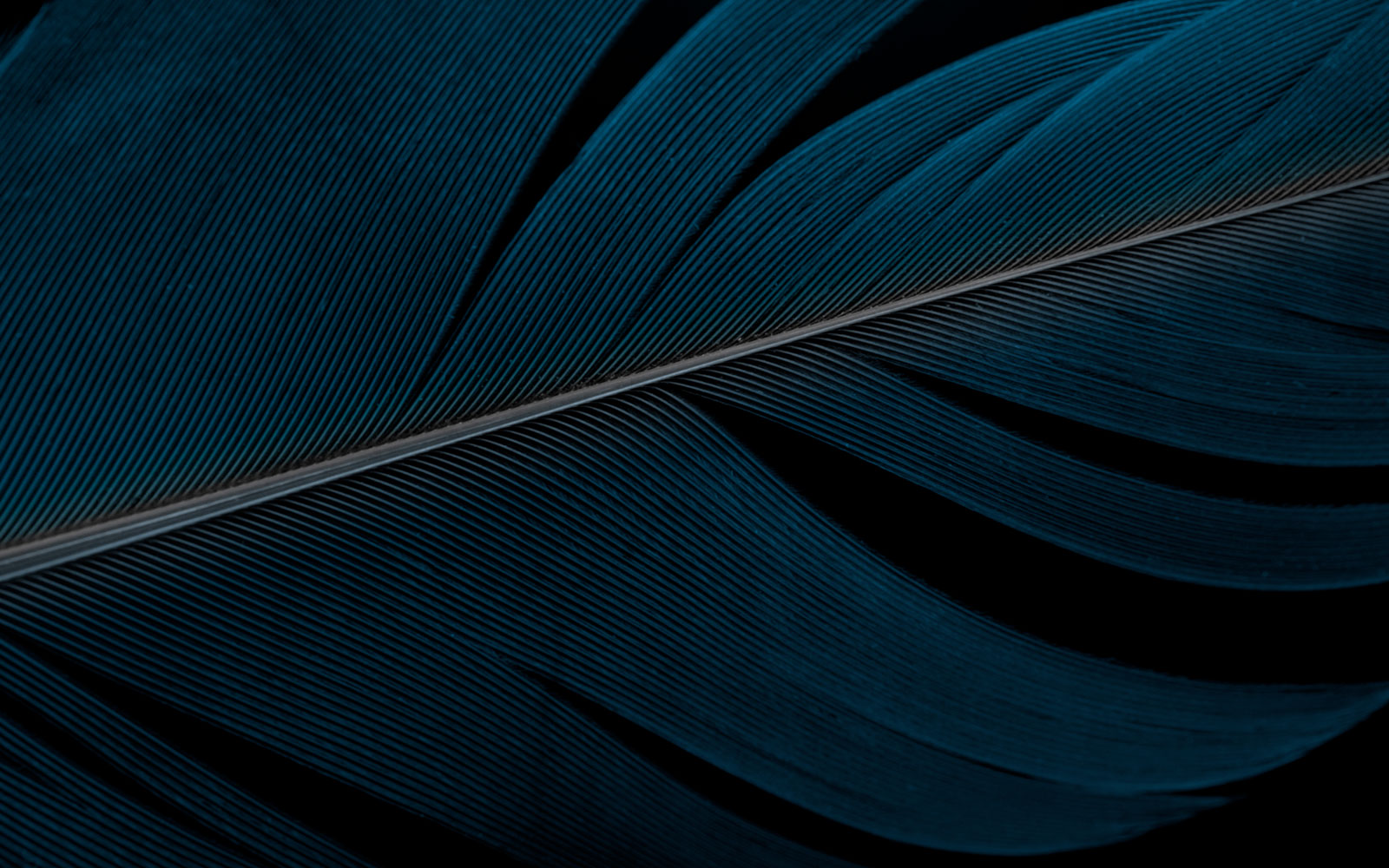 Trancorp Lawyers - Contact us