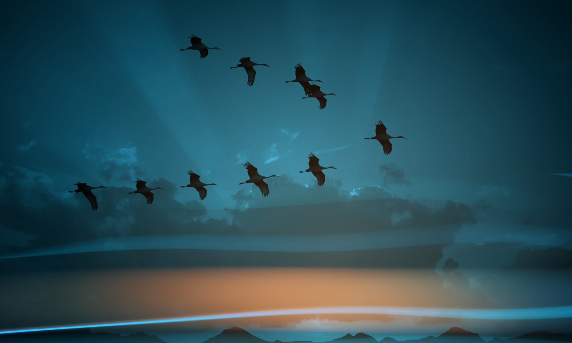 Trancorp Lawyers - Migration Law