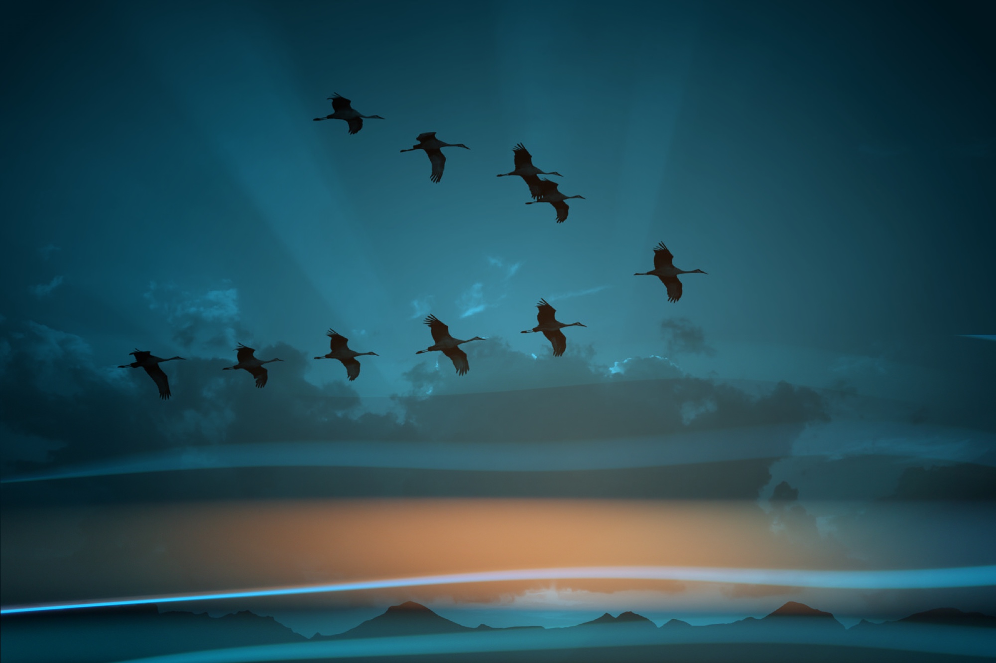 Trancorp Lawyers - Migration Law