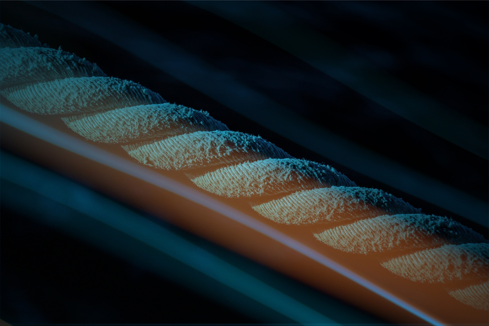 Trancorp Lawyers - Superannuation & Insurance claims